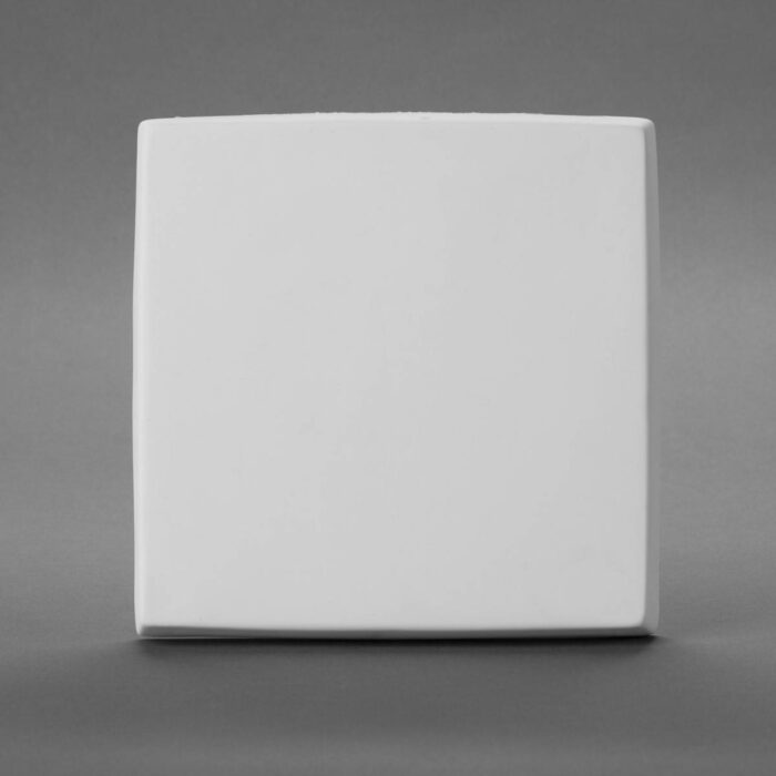 BQ MED 10 x 10 SQUARE CANVAS