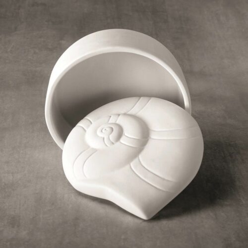 BQ SM NAUTILUS SHELL BOX