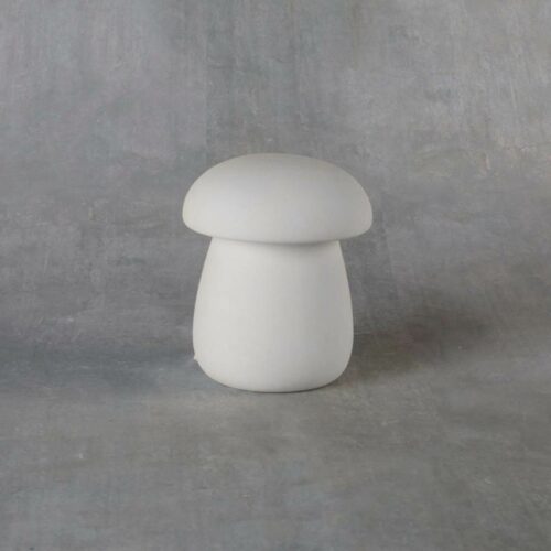 BQ SM MUSHROOM BOX