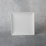 BQ SM SQUARE COUPE DINNER PLATE