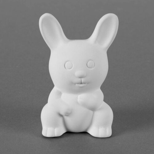 BQ SM TINY TOT NIBBLES THE BUNNY