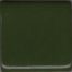 Coyote Chrome Green 10 LB Dry