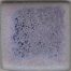 Coyote Blue Purple 1 Gallon
