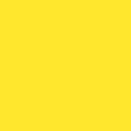 MAYCO Bright Yellow 2 oz